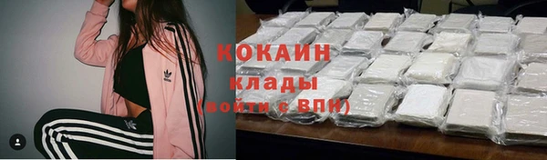 ешки Алзамай