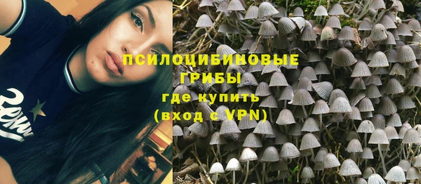 ГАЛЛЮЦИНОГЕННЫЕ ГРИБЫ Семилуки