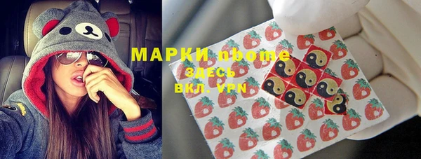 прущие грибы Алексеевка
