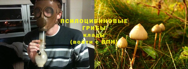 дурь Семикаракорск