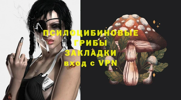ешки Алзамай